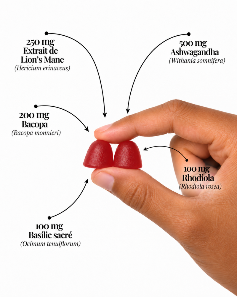 Deux gummies Ashwagandha et leurs actifs dosés